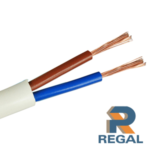 2 core sheathed cable